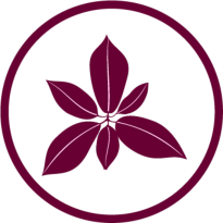 betreutes-wohnen-drochtersen