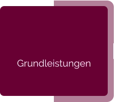 Grundleistungen